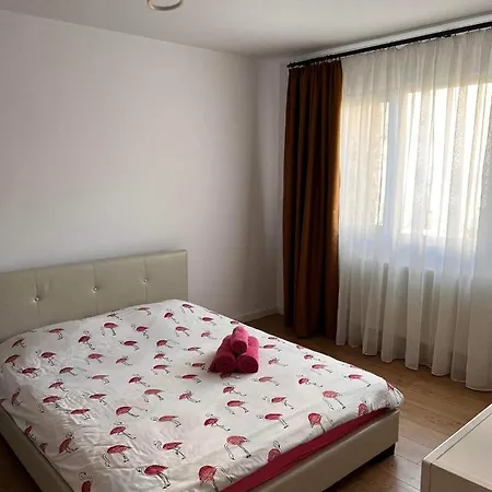 Appartement Garsoniera Flamingo Garii 4 à Braşov Extérieur photo