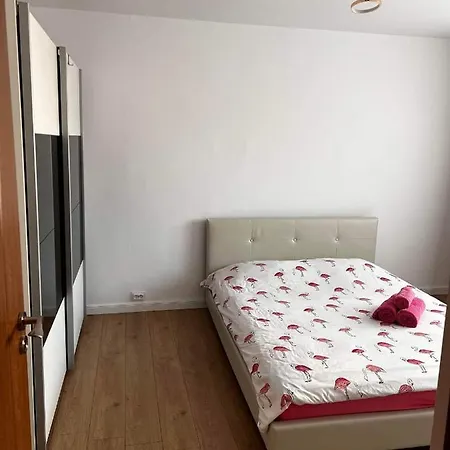Appartement Garsoniera Flamingo Garii 4 à Braşov Extérieur photo