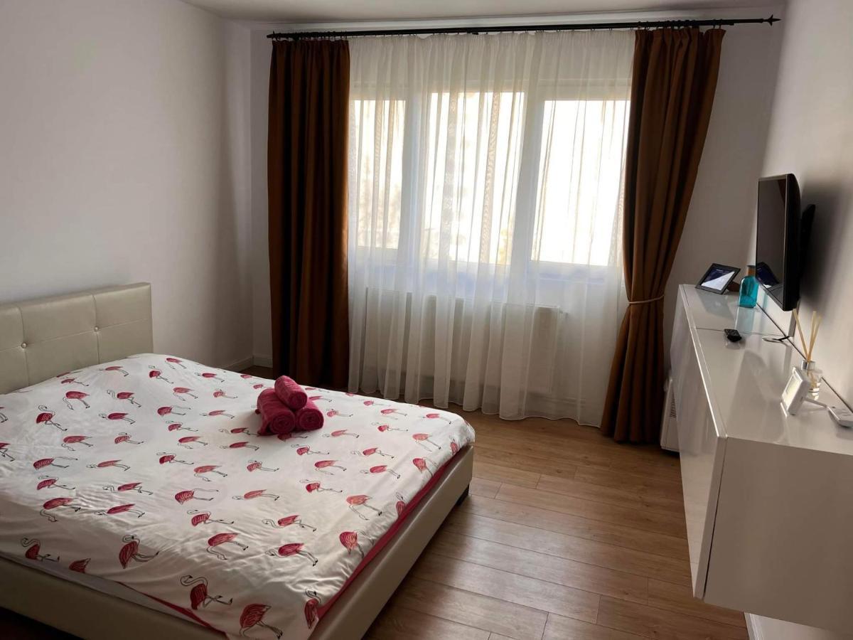 Apartment Garsoniera Flamingo Garii 4 Brașov