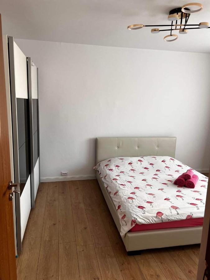 Garsoniera Flamingo Garii 4 Brașov